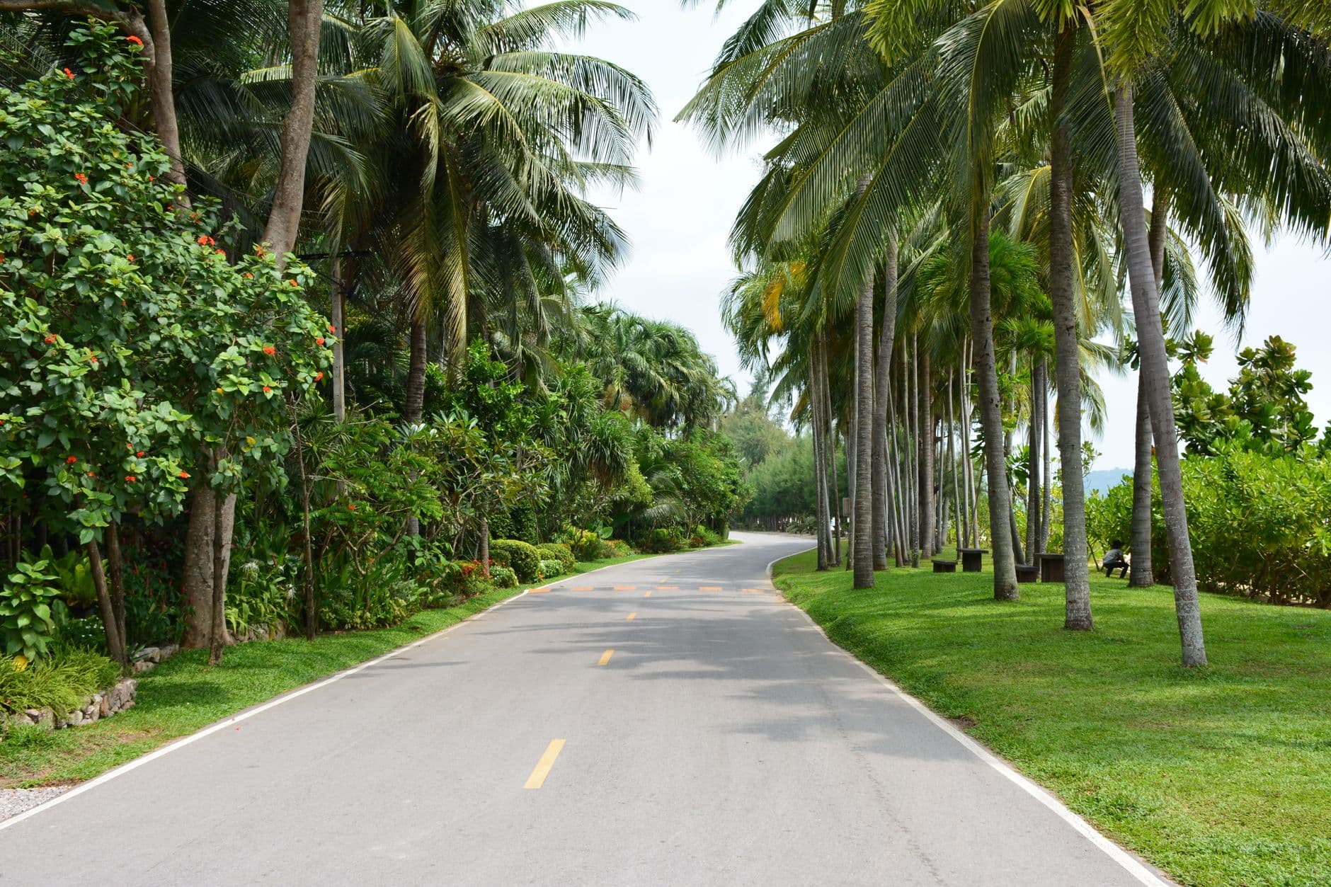 How Early to Leave for Phuket Airport: Beach-by-Beach Times (2026)